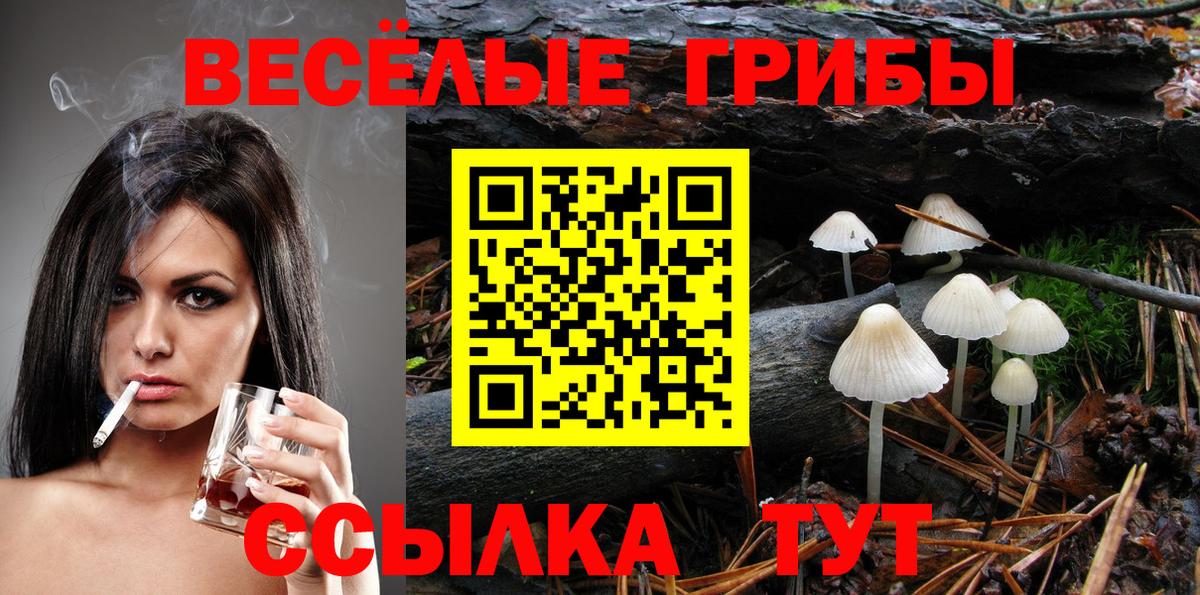 Нефтекумск  Галлюциногенные грибы Psilocybe  Вход с VPN 