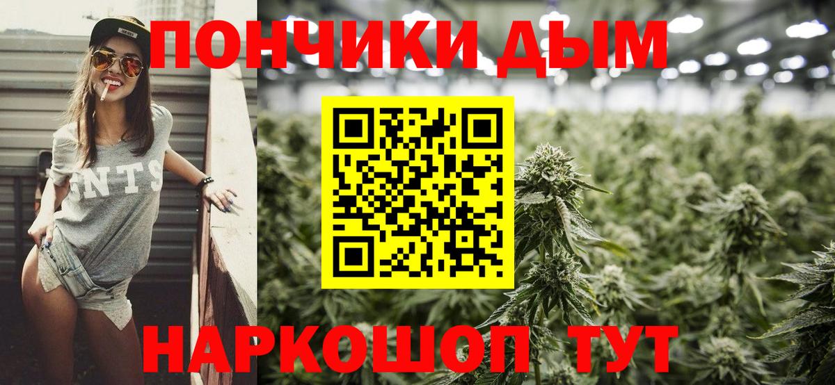 Канабис сатива Нефтекумск
